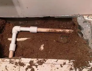 鄂托克前测漏水哪家好