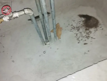 鄂托克前卫生间测漏水价格明细