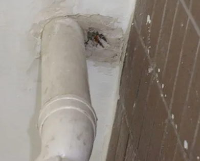 鄂托克前漏水检测哪家好